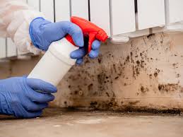 Best Black Mold Removal  in Linden, NJ